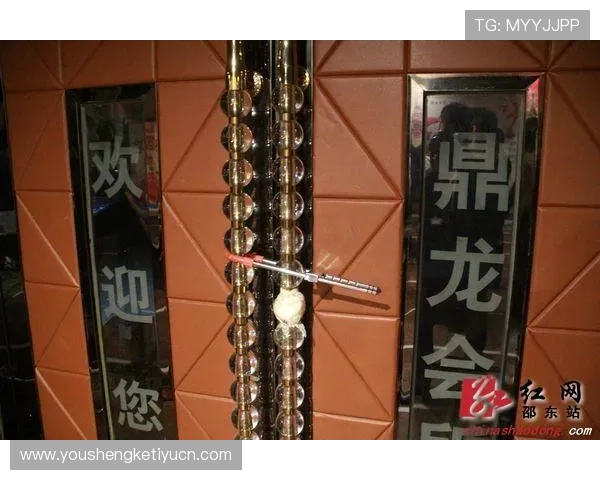 鼎龙娱乐注重用户体验优化，不断提升服务质量，打造安全、便捷的娱乐环境与用户满意度